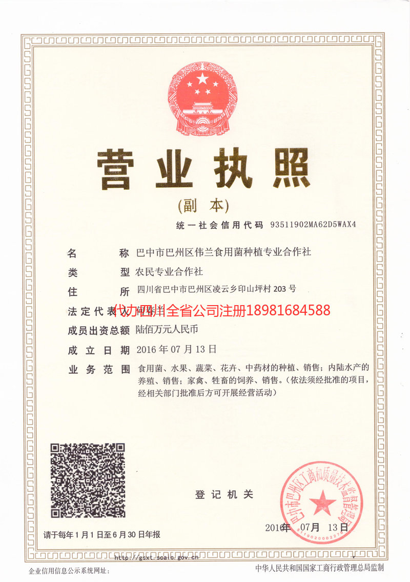 西昌西昌伟兰食用菌种植专业合作社